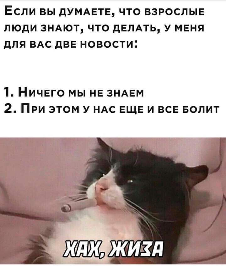 ЕСЛИ вы дУМАЕТЕ ЧТО ВЗРОСЛЫЕ ЛЮДИ ЗНАЮТ ЧТО дЕЛАТЬ У МЕНЯ для ВАС дВЕ НОВОСТИ 1 Ничего мы не ЗНАЕМ 2 При этом у ндс ЕЩЕ и все Болит