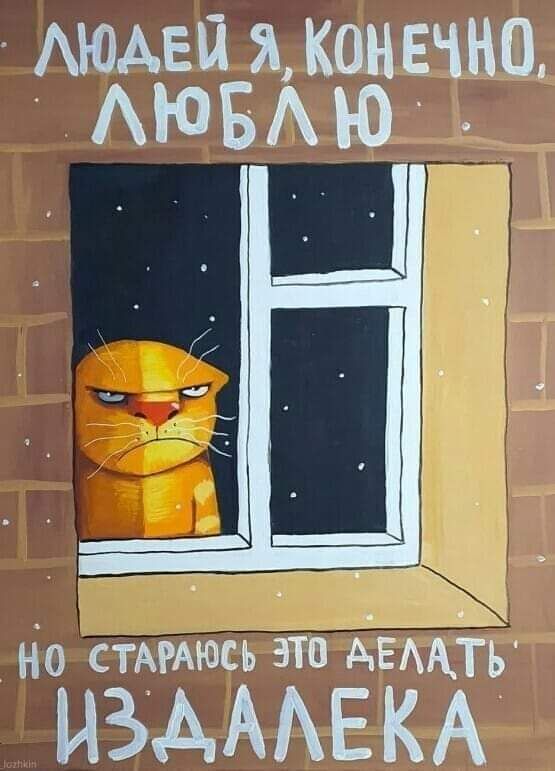 я конечно АювА ю ИО СТАРАЮСЬ ЭТП АЕААТЬ ИЗАМЕКА