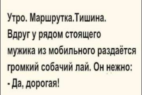 Утро МаршруткаТишина Вдруг у рядом стоящего мужика из мобильного раздаётся громкий собачий лай Он нежно да дорогая