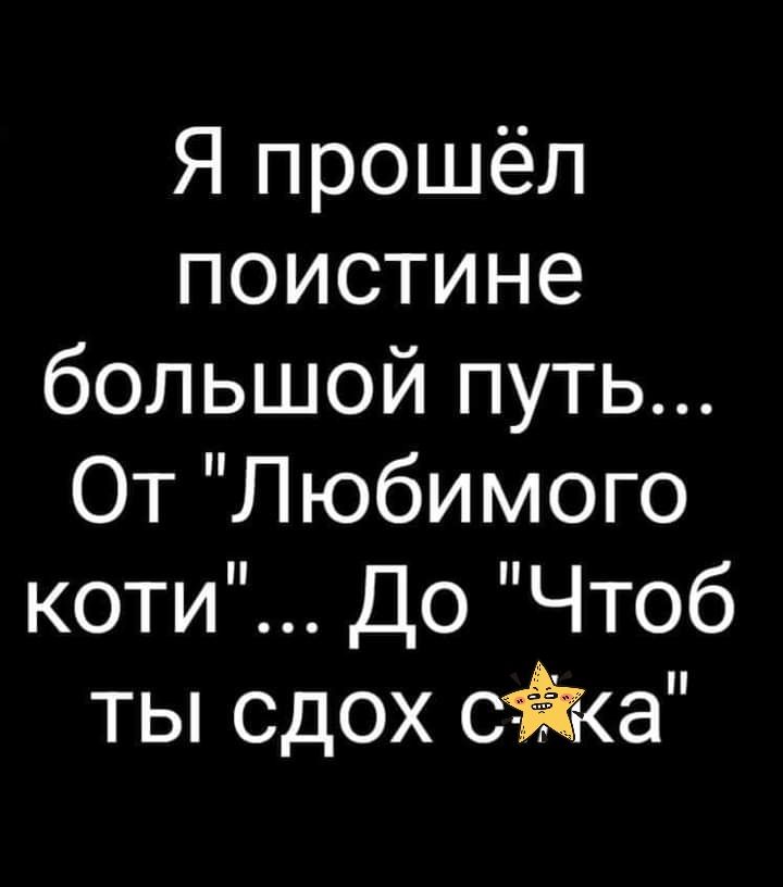 Я прошёл поистине большой путь От Любимого коти До Чтоб ты сдох сйа