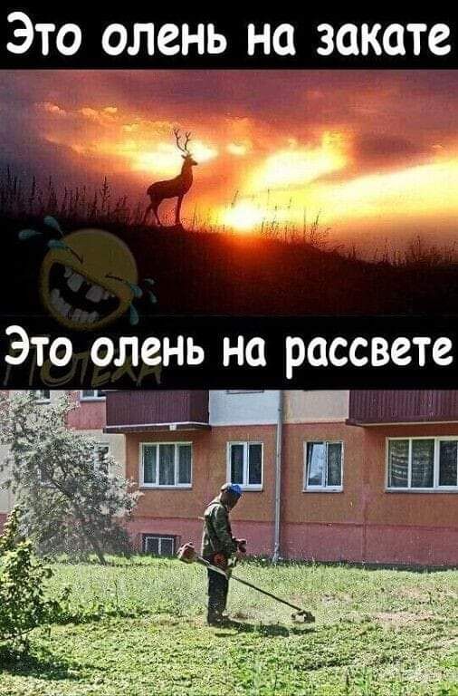 Эт_о_9лень на закате