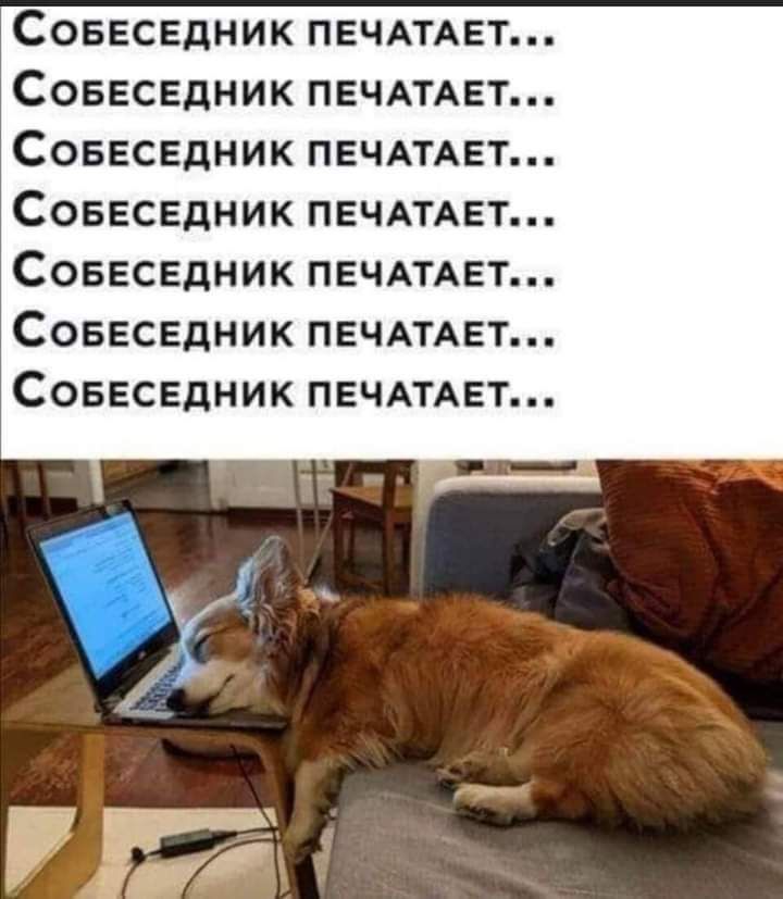 Совгсвдник ПЕЧАТАЕТ Совесвдник ПЕЧАТАЕТ Соввсвдник ПЕЧАТАЕТ Совесвдник ПЕЧАТАЕТ СОБЕСЕДНИК ПЕЧАТАЕТ Совесвдник ПЕЧАТАЕТ Соввсвдник ПЕЧАТАЕТ