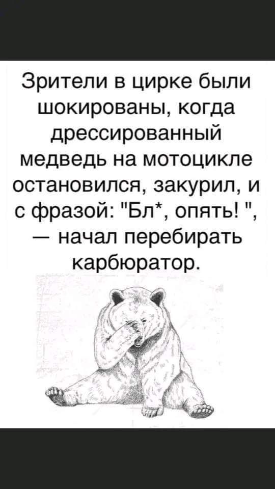 Зрители в цирке были шокированы когда дрессированный медведь на мотоцикле остановился закурил и с фразой Бл опять начал перебирать карбюратор