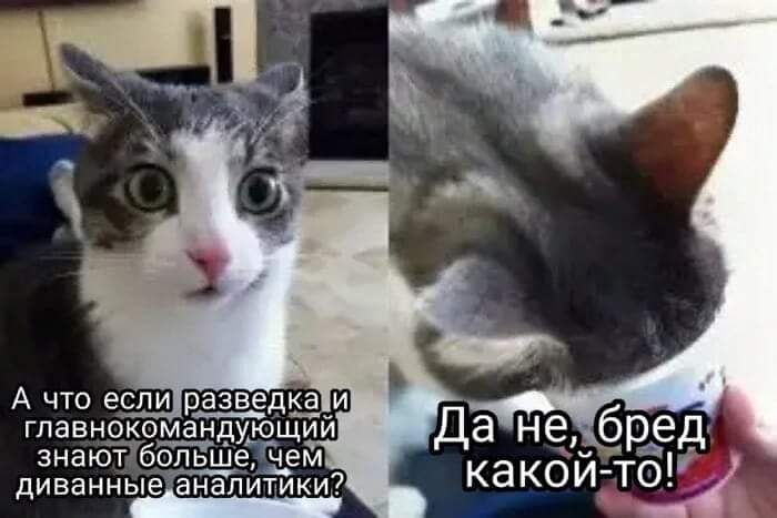 А чю если разведд гпавнокомандурщий знают бопьшеЕ_ем диваниыеіанапитики7
