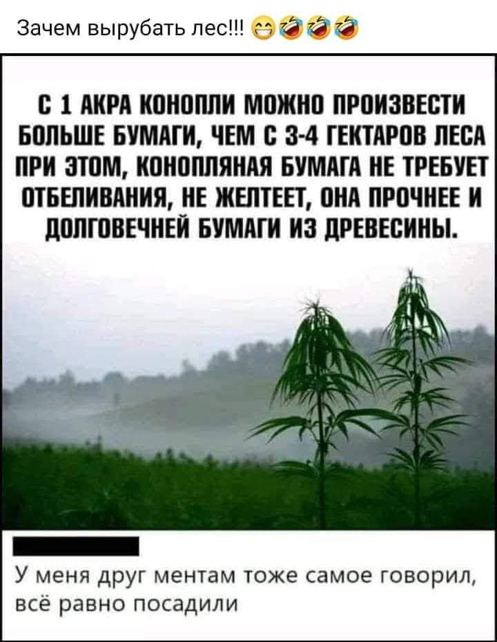 Зачем вырубать пес ейбй 1 АИРА ИПИППЛИ МШИИП ПРПИЗБЕПИ БПЛБШЕ БУМАГИ ЧЕМ 8 4 ГЕИТАРПБ ЛЕСА ПРИ ЗТПМ ИПИПППЯИАЯ БУМАГА ИЕ ТРЕБУЕТ ЩБЕПИВАИИИ ИЕ ЖЕПТЕЕЬ ВИА ПРПЧИЕЕ И ЛПППШЕЧИЕИ БУМАГИ ИЗ дРЕВЕБИИЫ _ У меня друг ментам тоже самое говорил все равно посадили