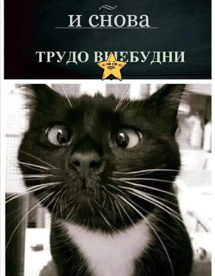 И сіЁОва ТРУДО В БУДНИ
