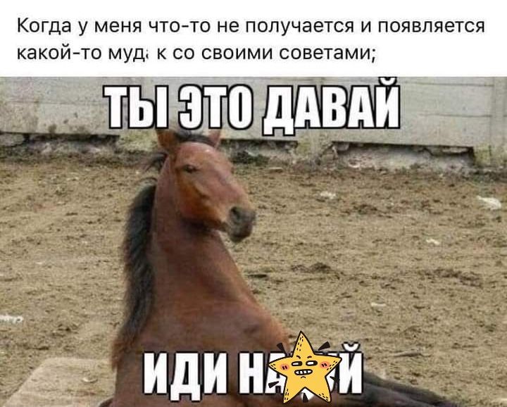 Когда у меня что то не получается и появляется какой то муд4 к со своими советами