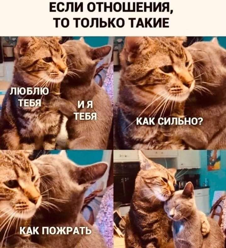 ЕСЛИ ОТНОШЕНИЯ ТО ТОЛЬКО ТАКИЕ