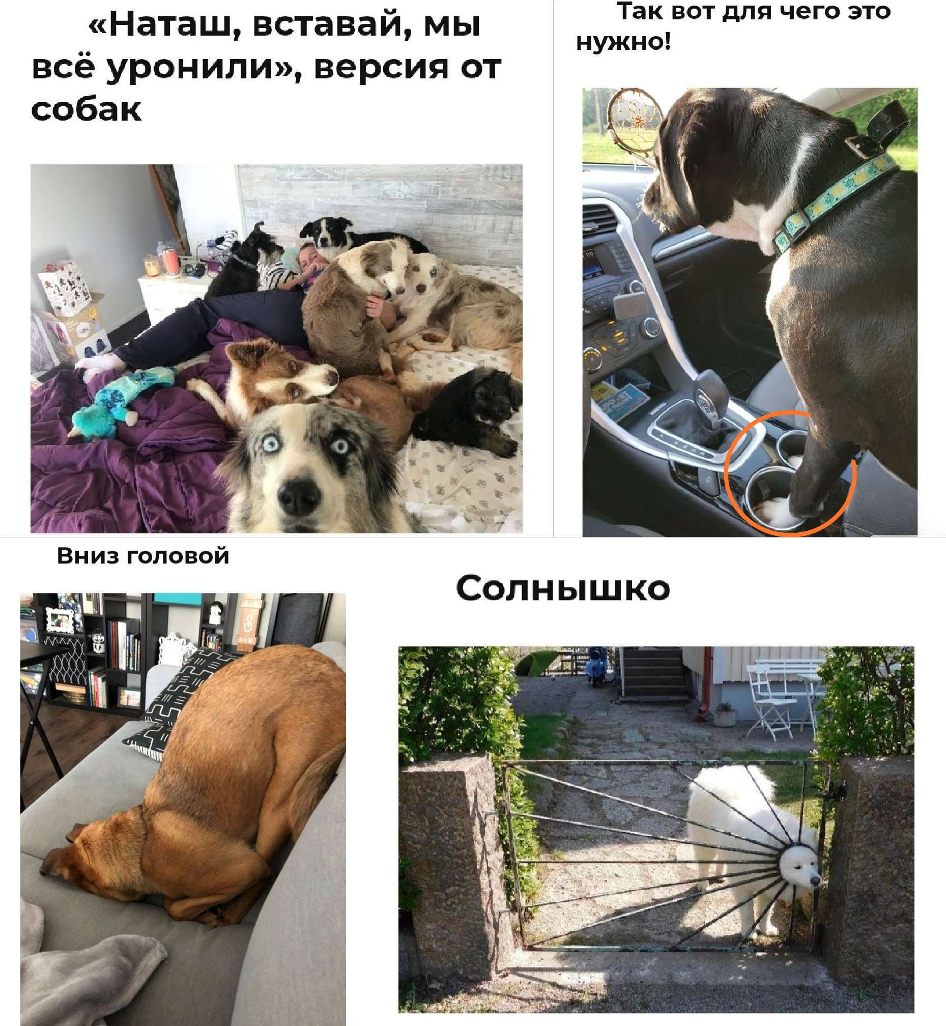 Таи для чего нужна Наташ вставай мы всё уронили версия от