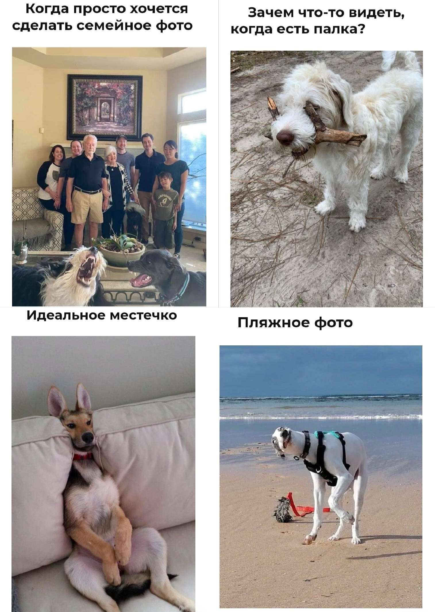 Киги ПР Х Зачем 040 Идетьч сделать имейте фиш адин Игнат но мостика