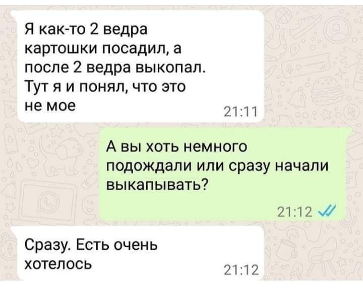 Я както 2 ведра картошки посадил а после 2 ведра выкопал Тут я и понялчто это не мое 21 1 1 А вы хоть немного подождали или сразу начали выкапывать 2112м0 Сразу Есть очень хотелось 21 12