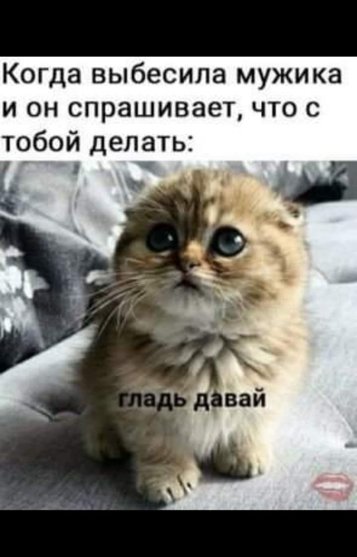 Когда выбесила мужика и он спрашивает что с тобой делать