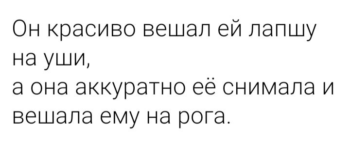 Он красиво вешал ей лапшу на уши а она аккуратно её снимапа и вешала ему на рога