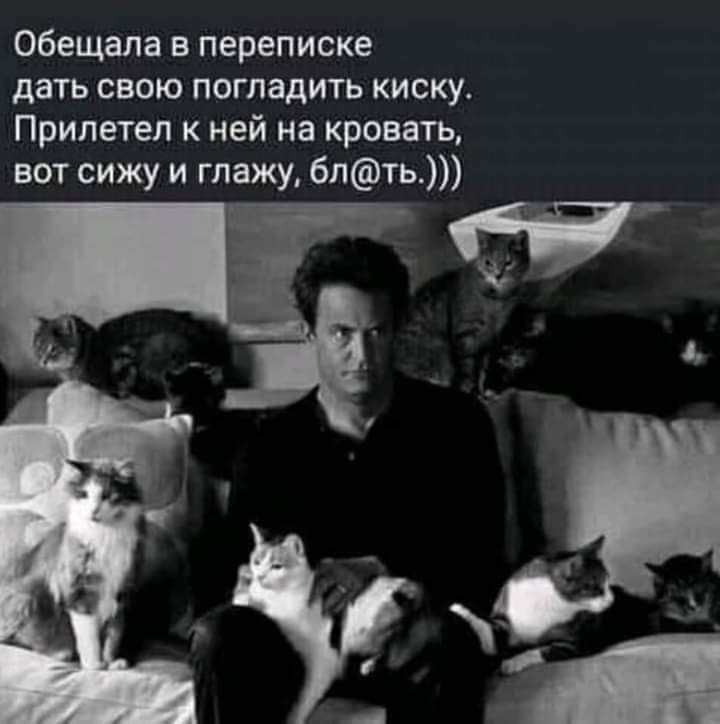 Обещала в переписке дать свою погладить киску Припетеп к ней на кровать вот сижу и глажу бпть