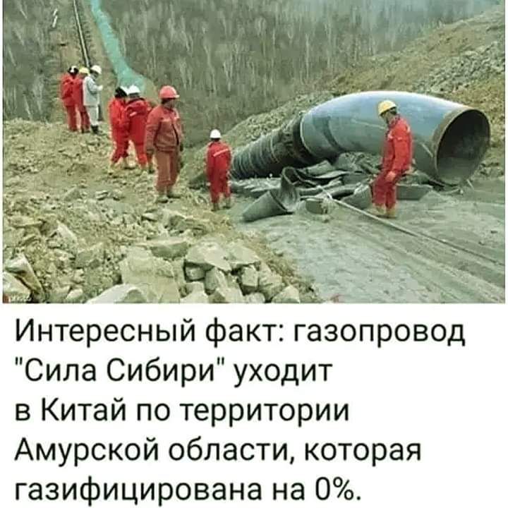 Интересный факт газопровод Сила Сибири уходит в Китай по территории Амурской области которая газифицирована на 0