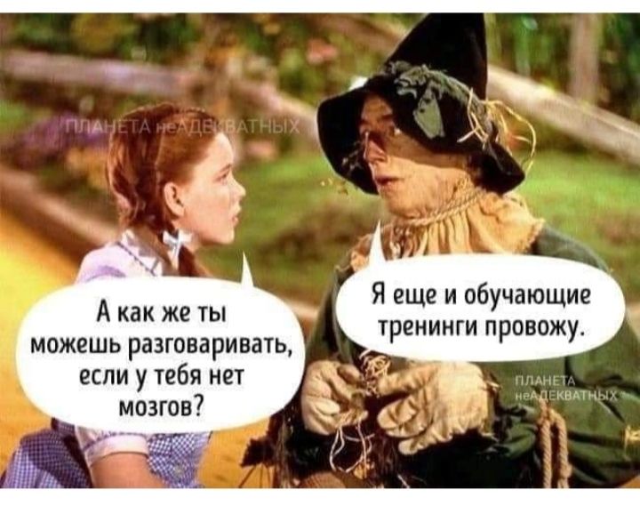 Я еще и обучающие А какжеты тренинги провожу можешь разговаривать если у тебя нет мозгов