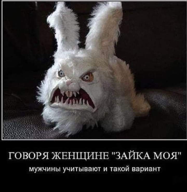ГО ВОРЯ ЖЕНЩИНЕ ЗАЙКА МОЯ мужчины учитывают и такой вариант