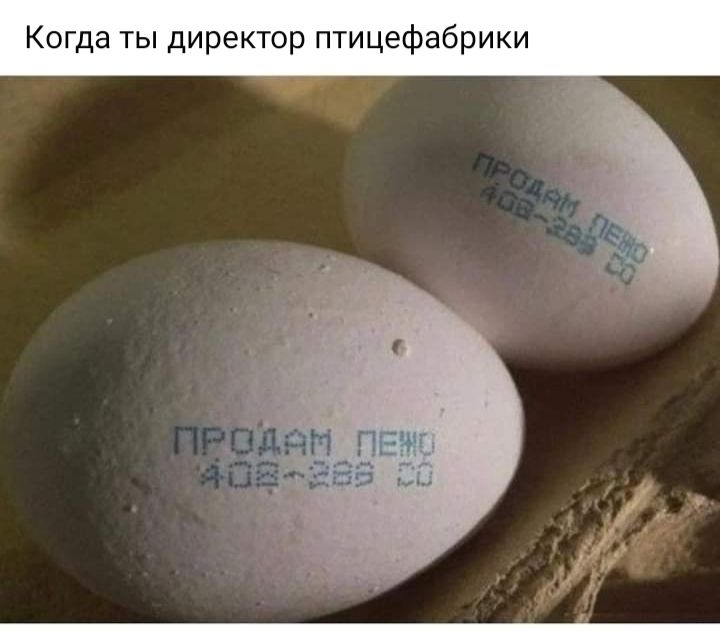 Когда ты директор птицефабрики