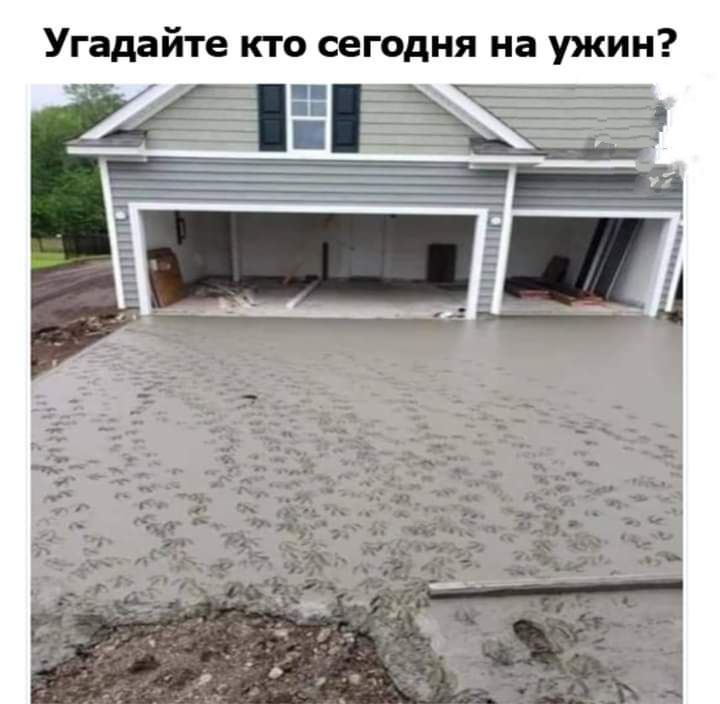 Угадайте кто сегодня на ужин