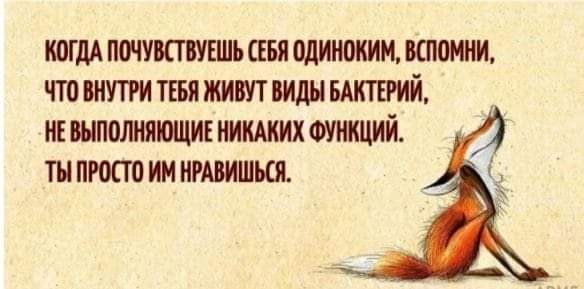 шмпшушшшльсгвяолиишшнмюим что пити тгвя жит вилы птий ишпшияпцш ииидиих сущий ты просто ин ишишшь