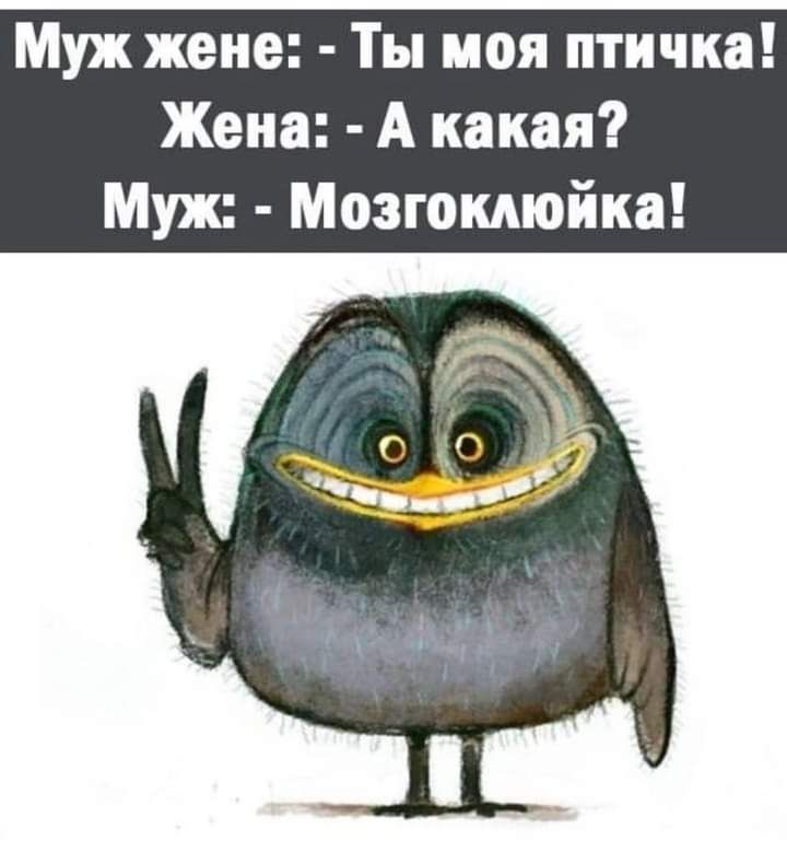 Муж жене Ты моя птичка Жена А какая Муж Мозгомюйка
