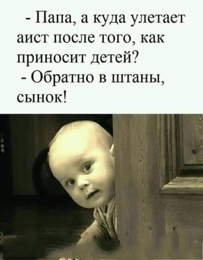 Папа а куда улетает аист ПОСЛС ТОГО как приносит детей Обратно в штаны сынок