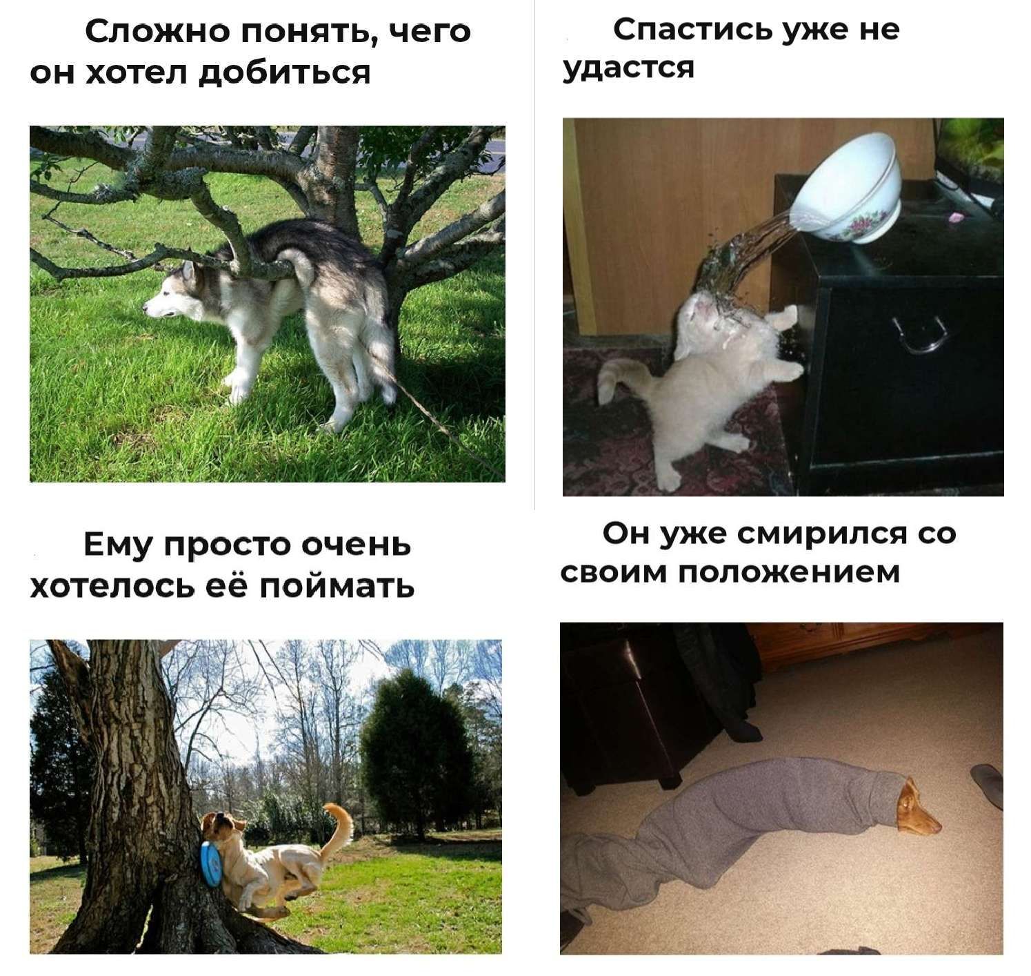 сложно понять чего Спастись уже не он хотел добиться удастся Он уже смирился со сввим полежением