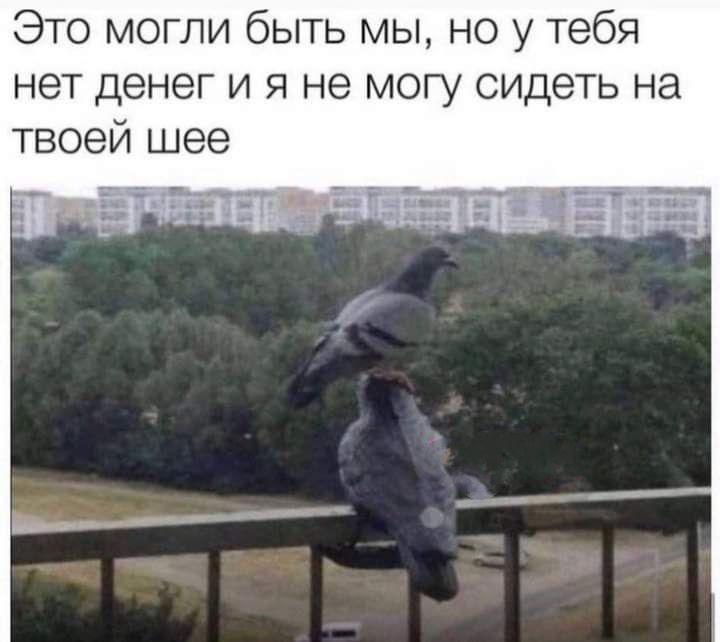 Это могли быть мы но у тебя нет денег и я не могу сидеть на твоей шее