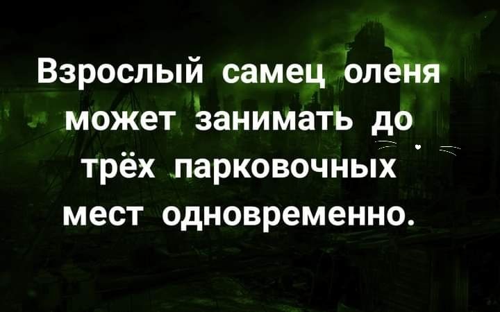 Взрослый самец Ьлёня может занимать до трёх парковочных мест одновременно