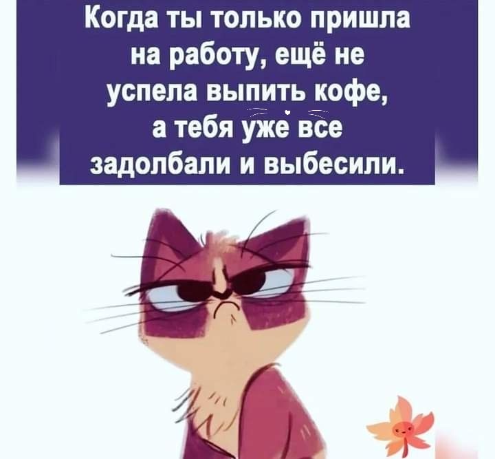 Когда ты только пришла на работу ещё не успела выпить кофе а тебя уже все задолбали и выбесипи