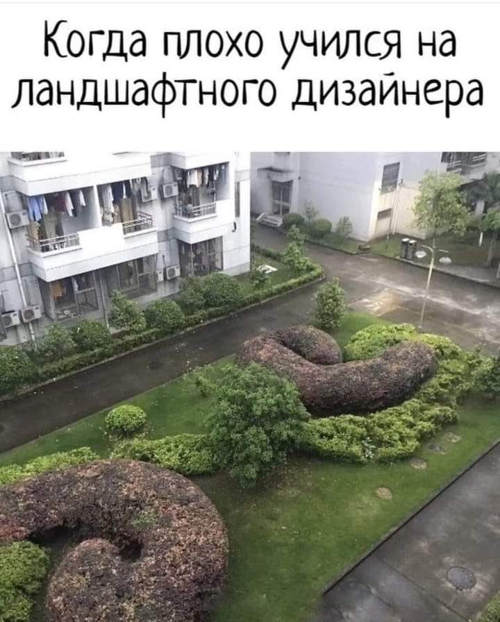 Когда плохо учился на ландшафтного дизайнера