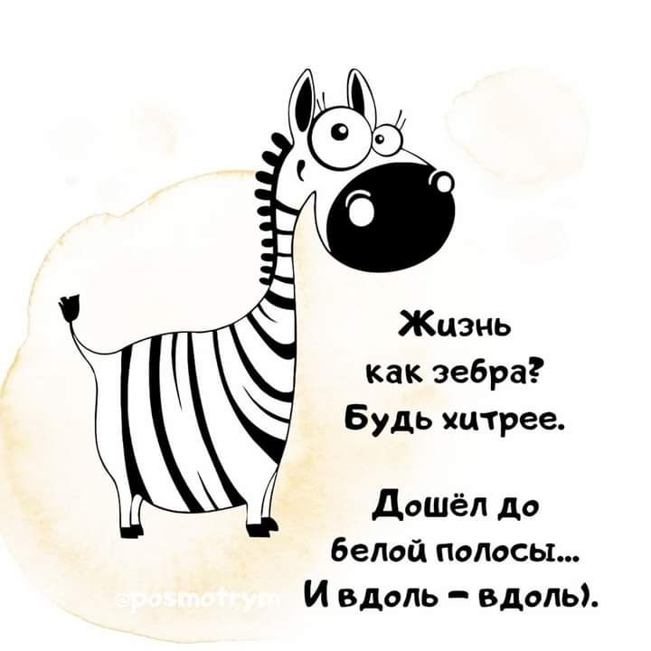 Жизнь как зебра Будь хитрее дошёл до Белой полосы И вдоль вдоль