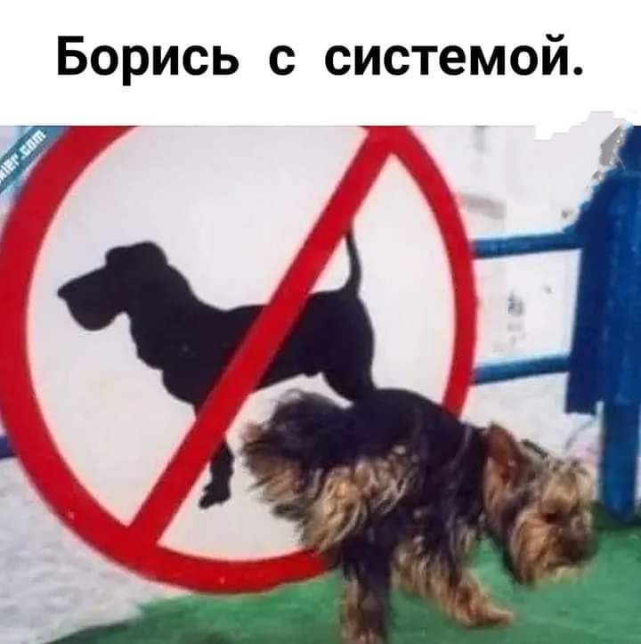 Борись с системой