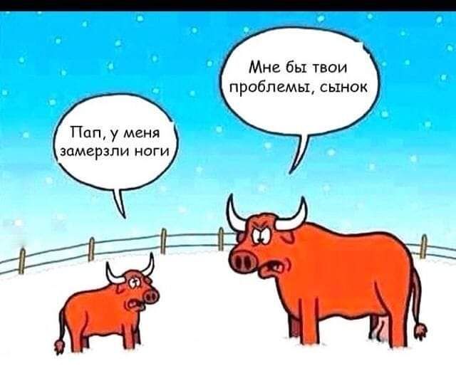 Мне бы проблемы сынок п у м эпмцрэли ноги