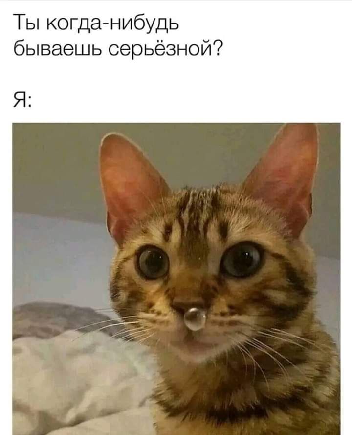 Ты когданибудь бываешь серьёзной Я