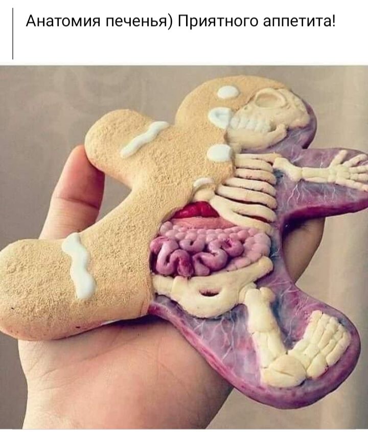 Анатомия печенья Приятного аппетита