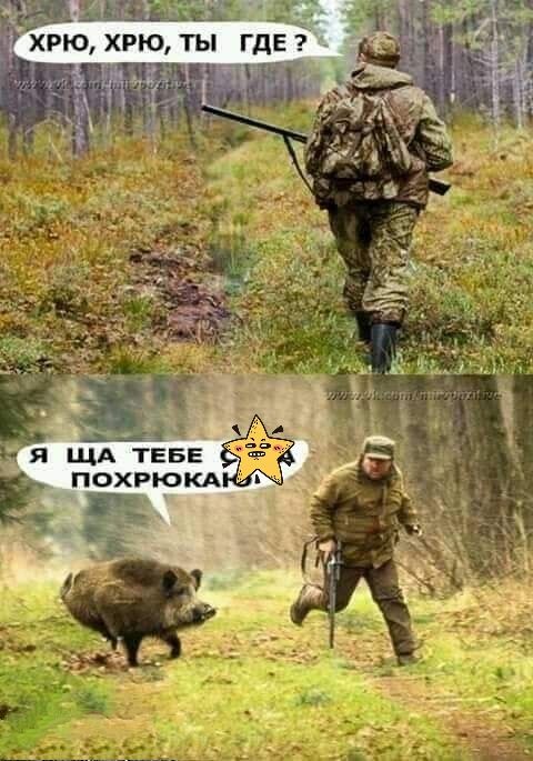 и ХРЮХРЮ ты ГДЕ _ Я ЩА ТЕБЕ