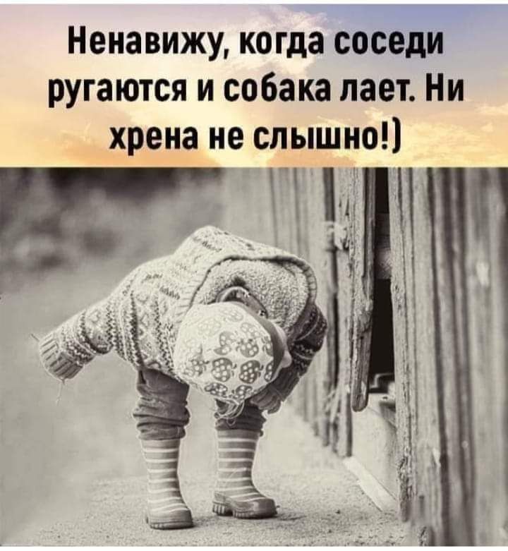 Ненавижу когда соседи ругаются и собака лает Ни _хрена не слышно