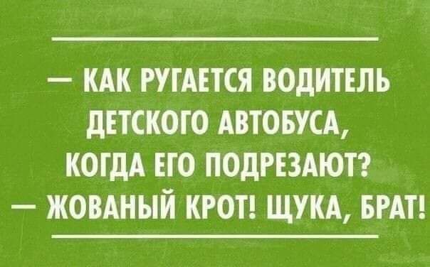 КАК КАНСК ВОДИТЕЛЬ дЕТСКОГО АВТОБУСА КОГДА ЕГО ПОДРЕЗАЮТ ЖОВАННЙ КРОТ ЩУКА БРАТ