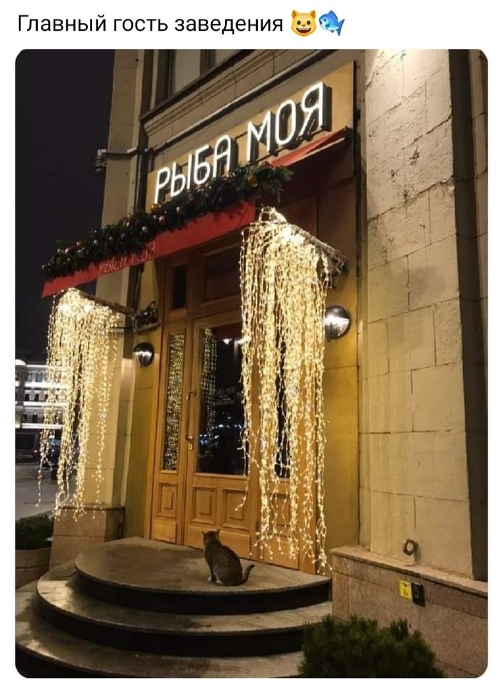 Главный гость заведения в
