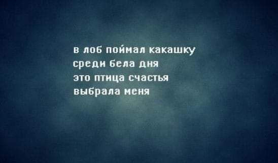 в лоб ппйив шишку среди 6 по тием винрмяцр