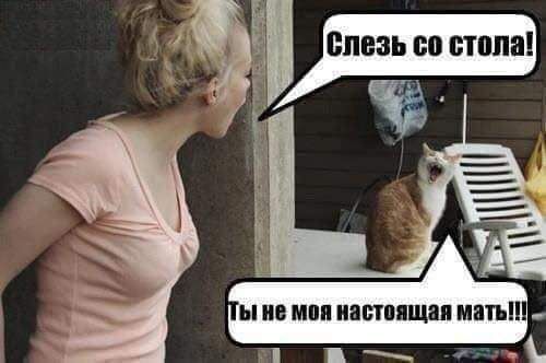 ы И моя ПЕТППЩЗП МПЪ
