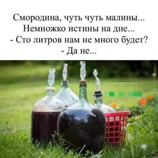Смородина чуть чуть малины Немножко нстшяы на днс Сто литров нам не много будет Да не