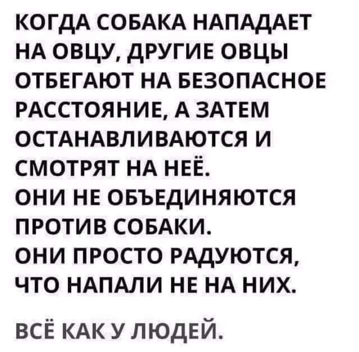 когдА СОБАКА НАПАДАЕТ НА овцу другие овцы ОТБЕГАЮТ НА везомснов РАССТОЯНИЕ А ЗАТЕМ ОСТАНАВЛИВАЮТСЯ и смотрят НА НЕЁ они НЕ овъвдиняются против СОБАКИ они просто РАДУЮТСЯ что НАПАЛИ НЕ НА них всЁ КАК УЛЮДЕЙ