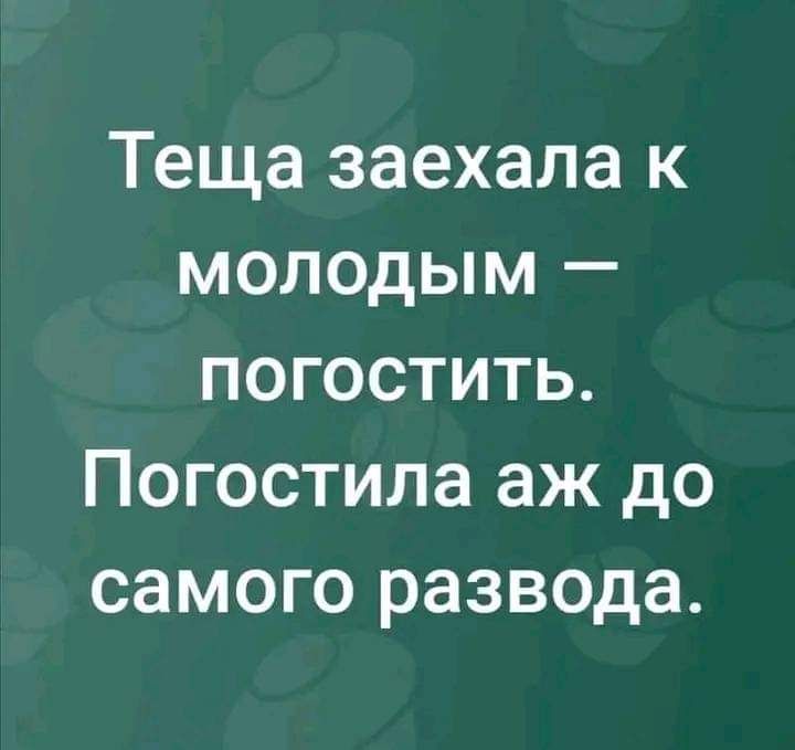 Теща заехала к молодым погостить Погостила аж до самого развода