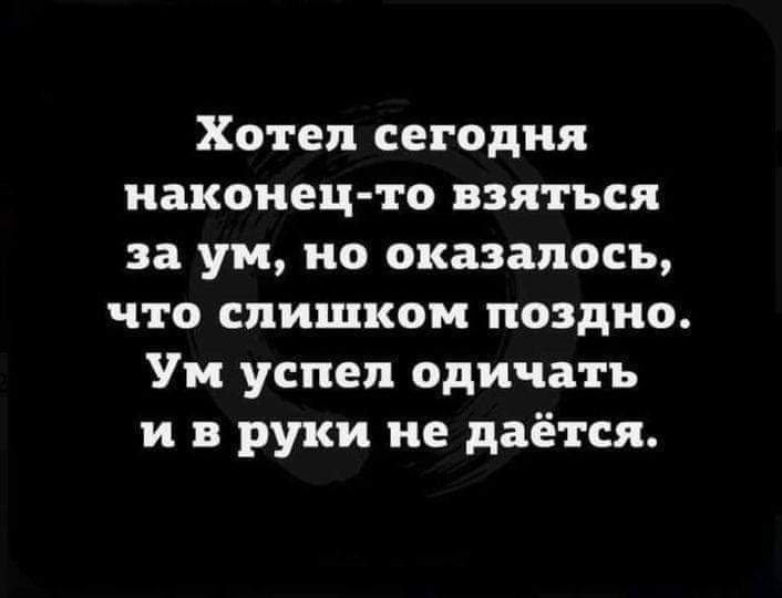 Хотел сегодня наконец то взяться за ум но оказалось что слишком поздно Ум успел одичать и в руки не даётся