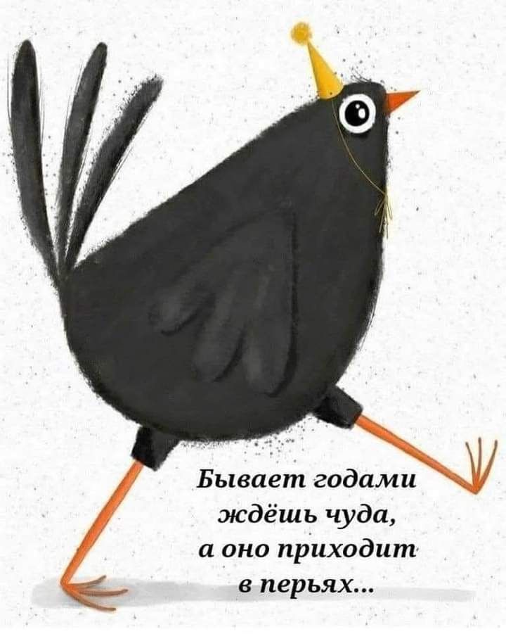 і Бывает годами ждёшь чуда а она приходит 8 перьях