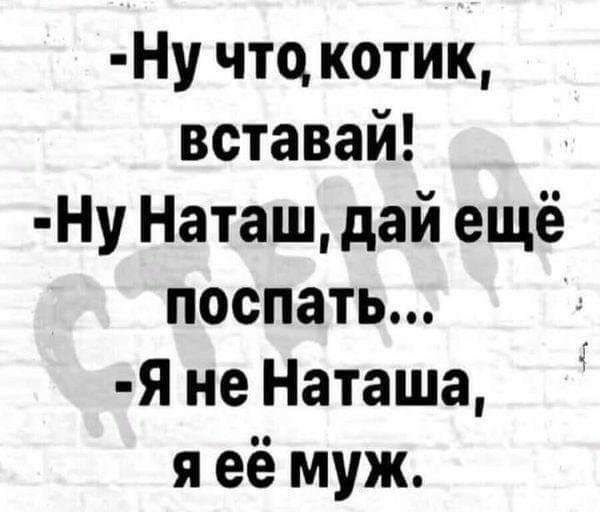 Ну что котик вставай Ну Наташ дай ещё поспать Я не Наташа я её муж