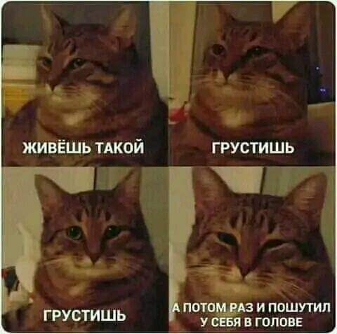 ГРУСТИШЬ потом А и пошутил ГРУСТИШЬ у В ГОЛОВЕ