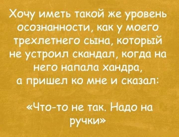 Хочу иметь такой же уровень осознанности как у моего трехлетнего снип который не усгроил скшдол когда но него напала хандра а Пришел ко мне и сказал Чтото не так Надо на ручки